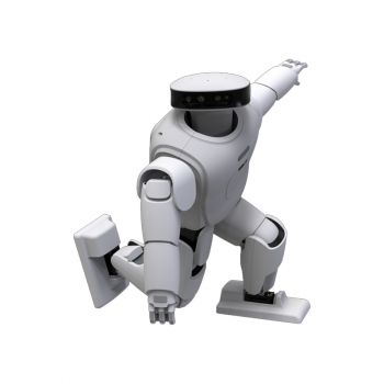 XTRON ROBAN Professional Bipedal Humanoid Robot for Education, Research, and Commercial Applications